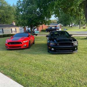 Meet your Posher, Logan